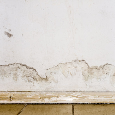 Signs of mold growth in your home