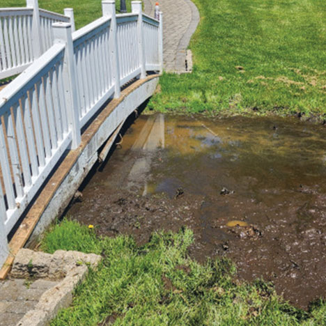 Signs You Need A Drainage Swale Contractor