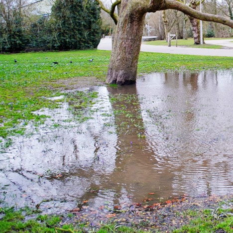 Signs You Need Outdoor Drainage Services