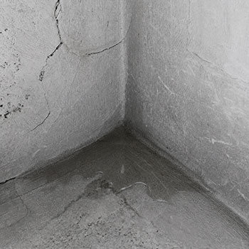 Standing Water In Basement Needs Repair