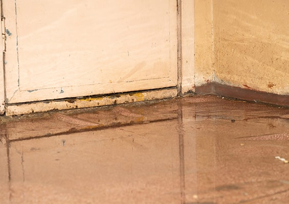 Signs You Need Basement Drainage Solutions